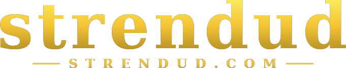 strendud logo
